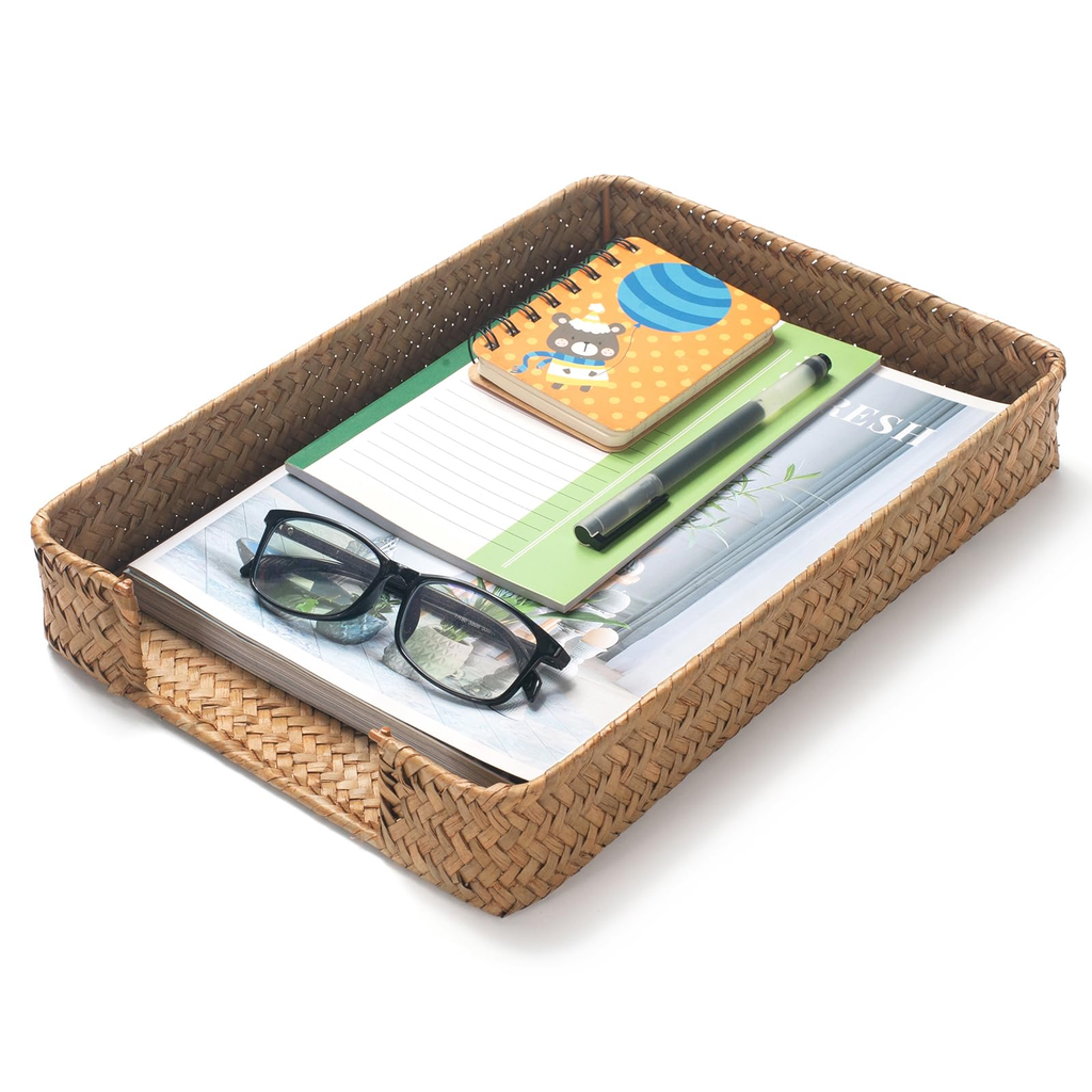 Garrett Cybernova Desk Modern Paper Tray Natural